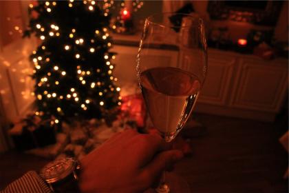 holiday scene of living room and christmas tree